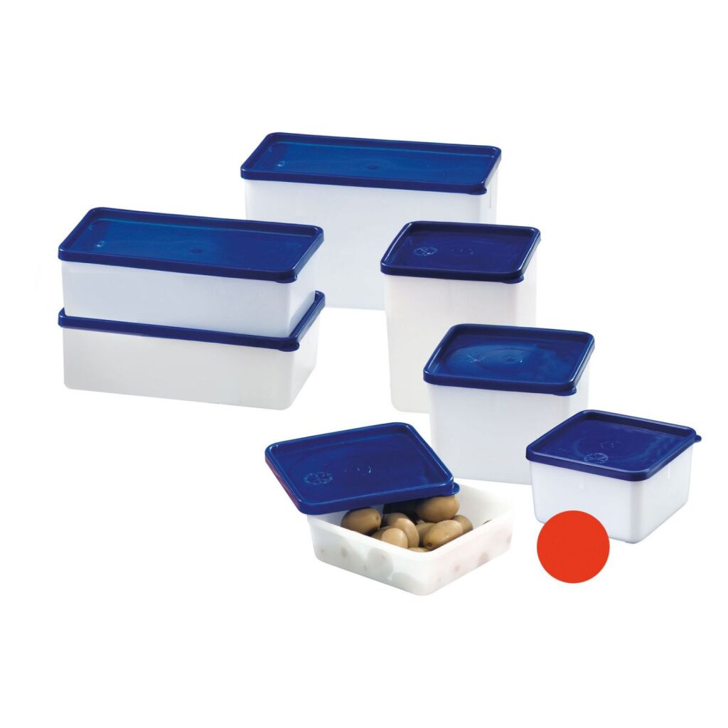 Westmark Freezer Boxes 0.5 L 4 Pieces Blue/White