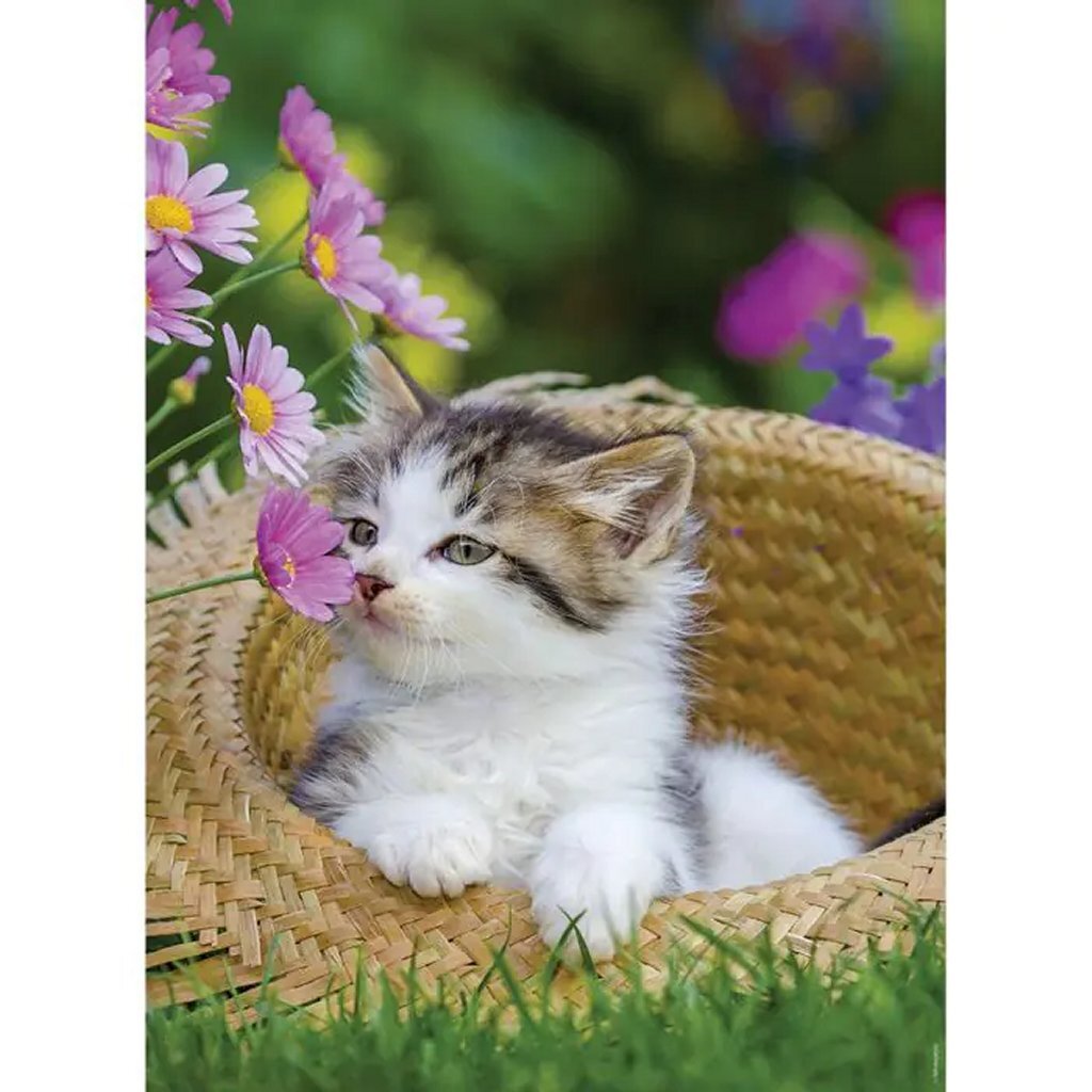 Ravensburger Puzzle Cats 2x500 Pieces