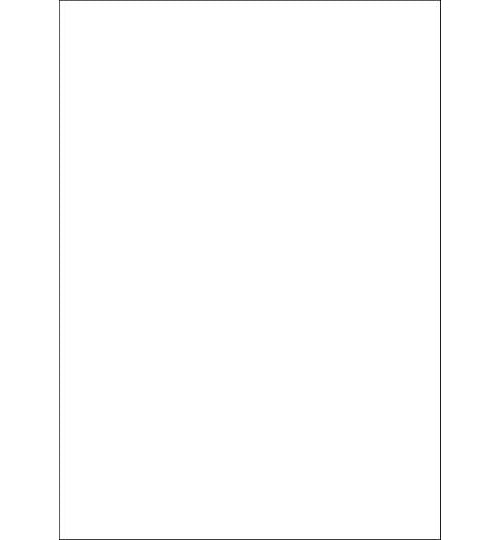 HERMA Wetterfeste Folien-Etiketten, 210 x 297 mm transparent, aus Polyesterfolie, matt, selbstklebend - 1 Stück (10783) afbeelding 1
