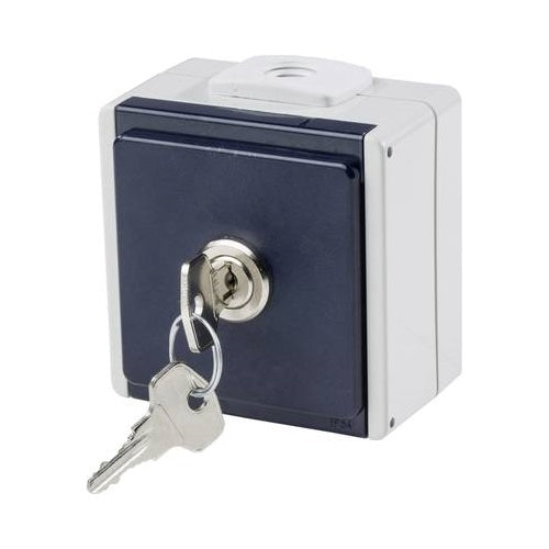 as - Schwabe 62461 Aufputz-Steckdose abschließbar IP54 Grau (62461) afbeelding 1
