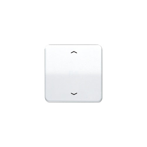 Jung CD 590 P WW (CD590PWW) afbeelding 1