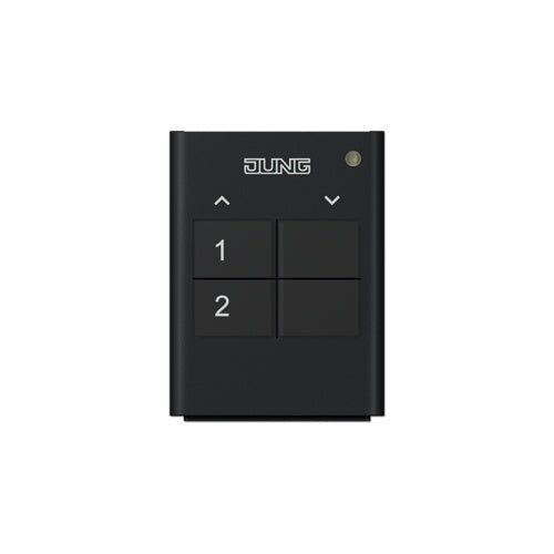 Funk-Handsender 2-kanalig FM HS 2 (FMHS2) afbeelding 1