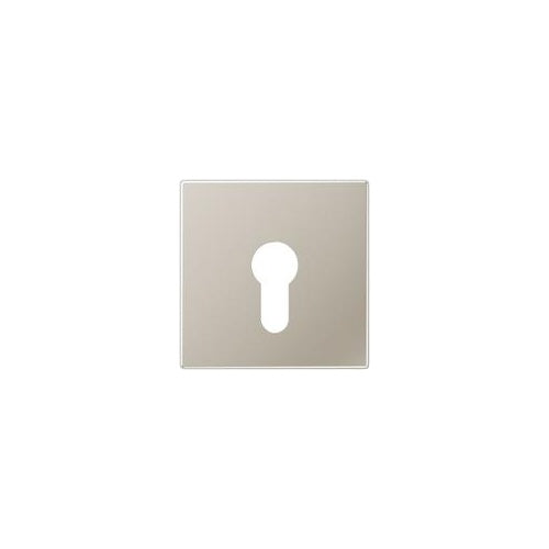 Jung Abdeckung eds für Schlüsselschalt. ES 2925 (ES2925) afbeelding 1