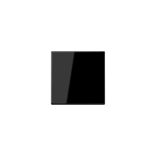JUNG LS1700SW LS1700SW Steuertaste Standard (LS1700SW) afbeelding 1