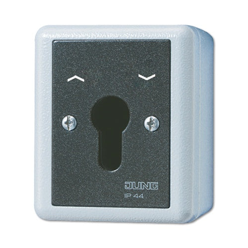 JUNG 834.28G Elektroschalter Key-operated switch Schwarz - Weiß (834.28G) afbeelding 1