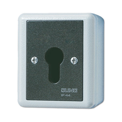 Schlüsselschalter 806.28G (806.28G) afbeelding 1