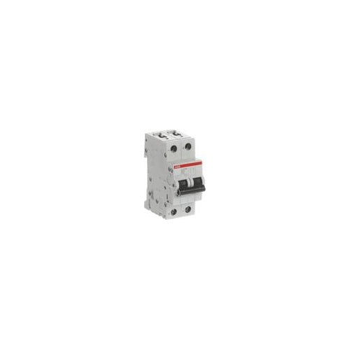 ABB STOTZ-KONTAKT Sicherungsautomat 10kA 6A B 2p S202M-B6UC (2CDS272061R0065) - 4013614432811 - image 1