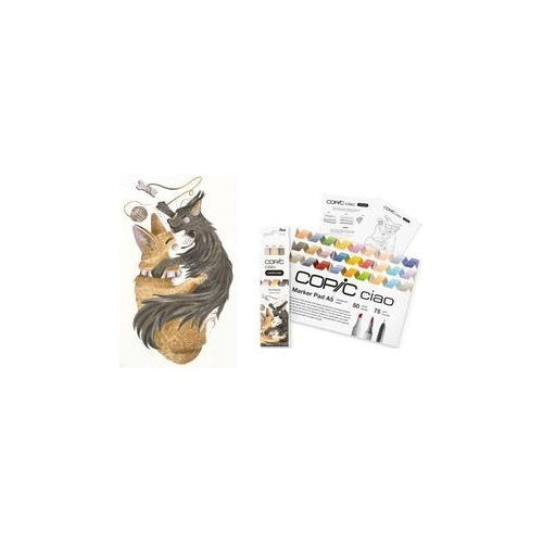 COPIC | Marker Set 220750202 Ciao 2D 1.0mm - 6.0mm Nibs | Pet Palette Starter Layout Markers | Color Sorted afbeelding 1