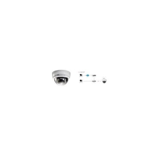 LevelOne FCS-3101 - Netzwerk-Überwachungskamera - schwenken / neigen - Farbe (Tag&Nacht) - 2 MP - 1920 x 1080 - feste Brennweite - Audio - LAN 10/100 - MPEG-4, AVI, MJPEG, 3GPP, H.264 - Gleichstrom 12 V / Wechselstrom 24 V / PoE (FCS-3101) afbeelding 1