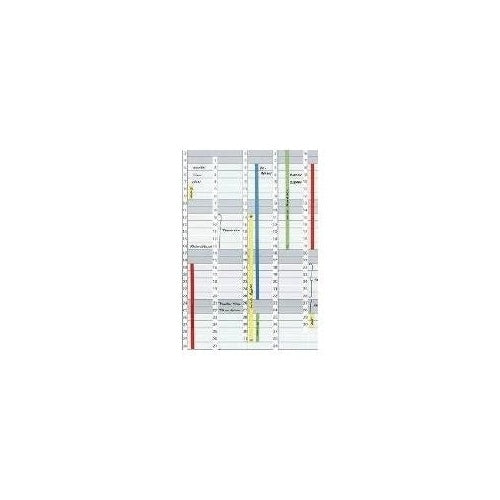 FRANKEN Datumstreifen für Planungstafel JetKalender 1203 magnetisch, Farbe: weiß, Maße: (B)191 x (H)695 mm - 1 Stück (DS1203A) afbeelding 1