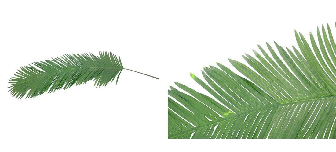 EUROPALMS Kokos-Königspalmwedel, künstlich, 180cm (82509847) afbeelding 1