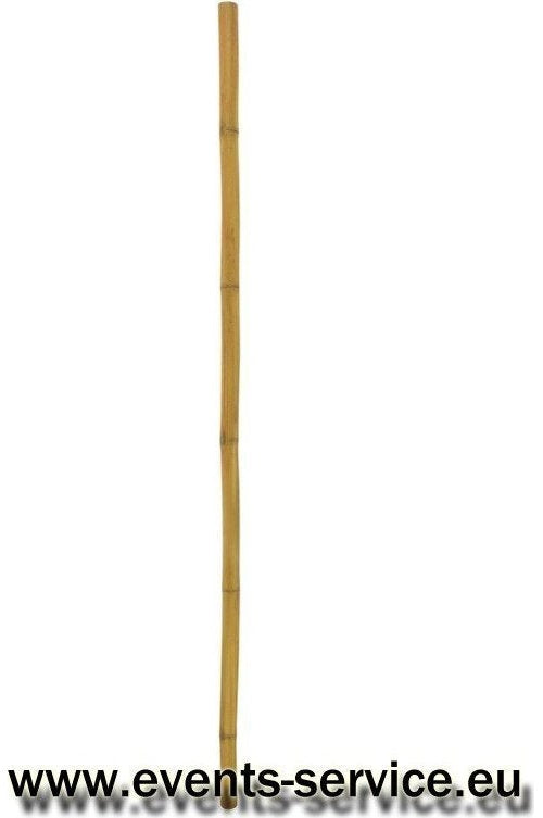 EUROPALMS Bambusrohr, Ø=5cm, 200cm (83313201) afbeelding 1