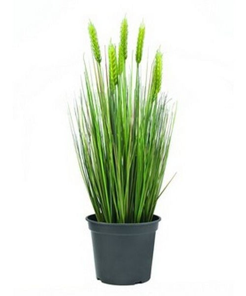EUROPALMS Weizen Frühsommer, künstlich, 60cm (82505866) afbeelding 1