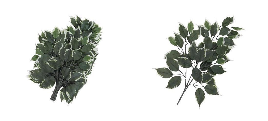 EUROPALMS Ficuszweig, künstlich, 12x (82506100) afbeelding 1