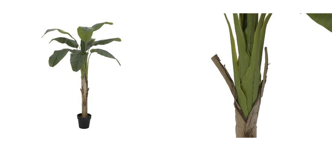 EUROPALMS Bananenbaum, Kunstpflanze, 145cm (82509504) afbeelding 1