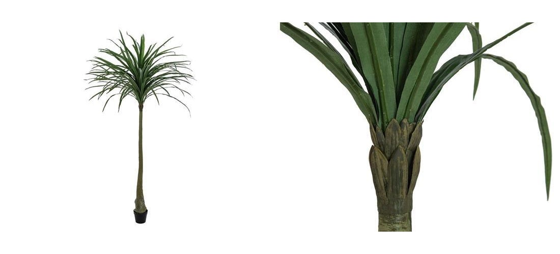 EUROPALMS Dracena, künstlich, grün, 220cm (82505798) afbeelding 1