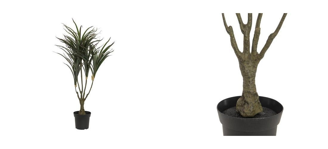 EUROPALMS Dracena, künstlich, grün-rot, 90cm (82505778) afbeelding 1