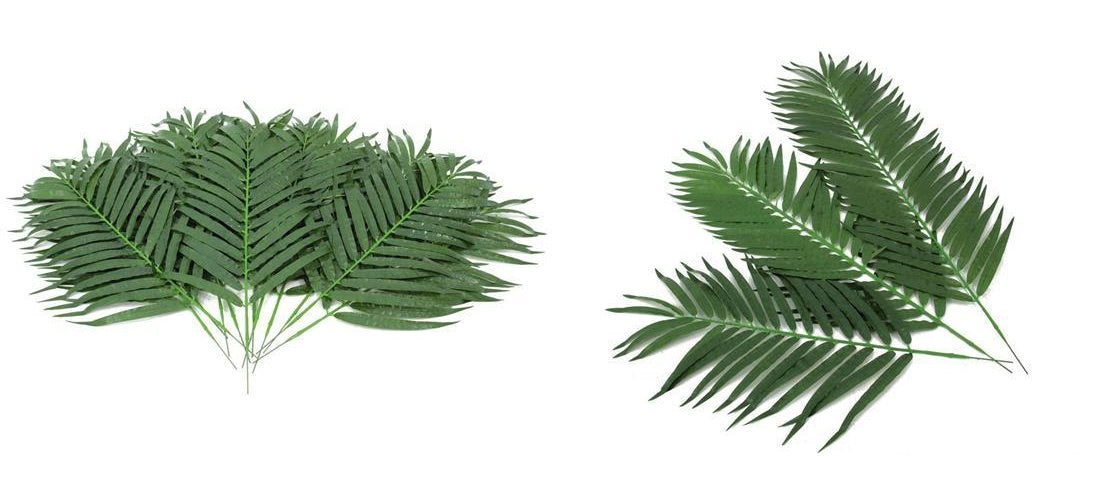 EUROPALMS Kokos-Palmwedel, künstlich, 80cm 12x (82509895) afbeelding 1