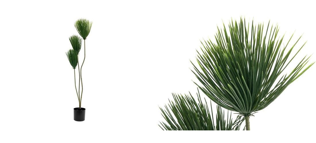 EUROPALMS Papyrus, Kunstpflanze, 100cm (82600234) afbeelding 1