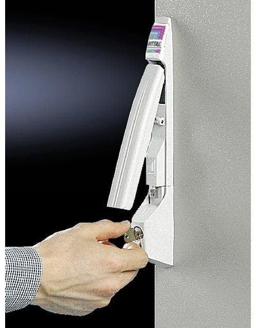 Rittal TS 8611.290 - Grau - TS - TS IT - SE - PC - IW (8611.290) afbeelding 1