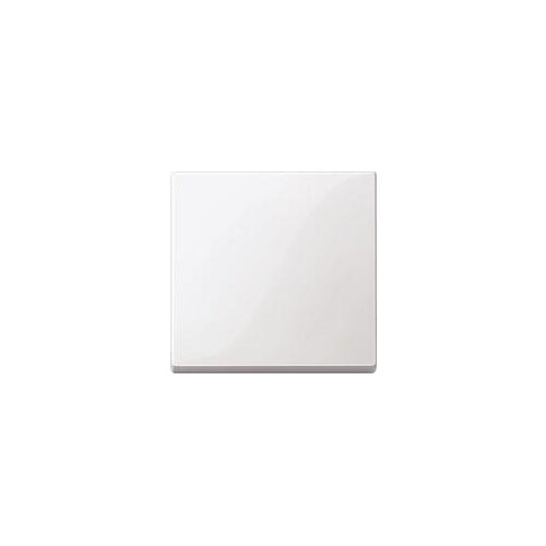 MERTEN Wippe 432119 System M polarweiss glänzend 432119 432119 (432119) afbeelding 1