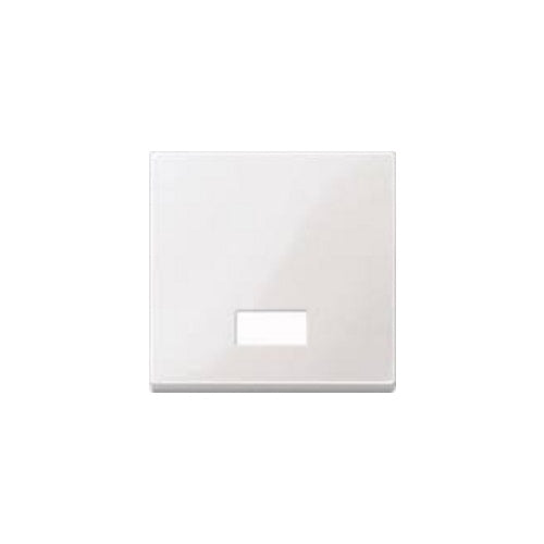 MERTEN Wippe m.Symbolfenster rechteckig 432819 System M polarweiss glänzend 432819 432819 (432819) afbeelding 1
