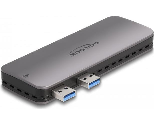 Delock - Speichergehäuse - M.2 - NVMe PCIe - PCIe, SATA, USB 3.2 (Gen 2) afbeelding 1