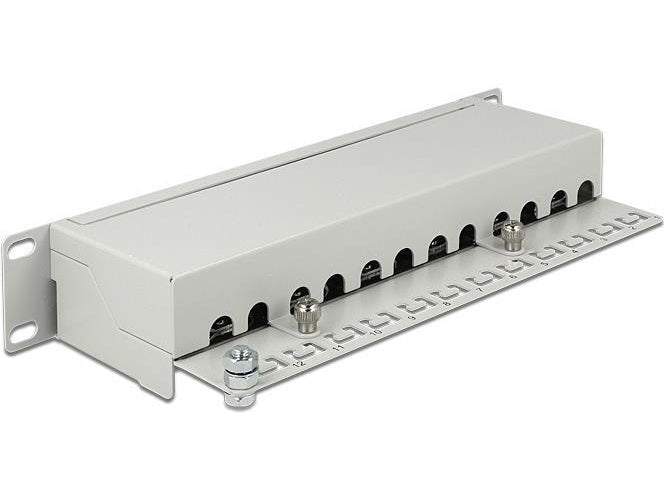 DeLOCK - Patch Panel - RJ-45 X 12 - Hellgrau - 1U (43299) afbeelding 1