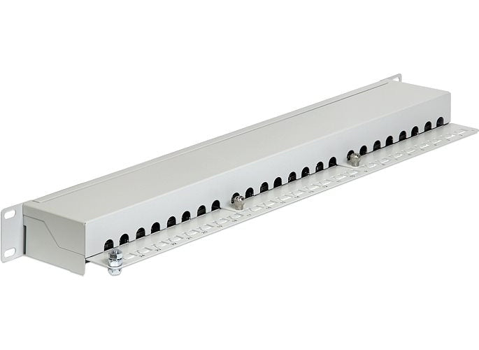 DeLOCK - Patch Panel - RJ-45 X 24 - Hellgrau - 1U (43300) afbeelding 1