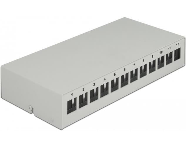 Delock - Leeres Keystone-Patchpanel - geeignet für Wandmontage, DIN schienenmontierbar - Grau - 12 Ports (43414) afbeelding 1