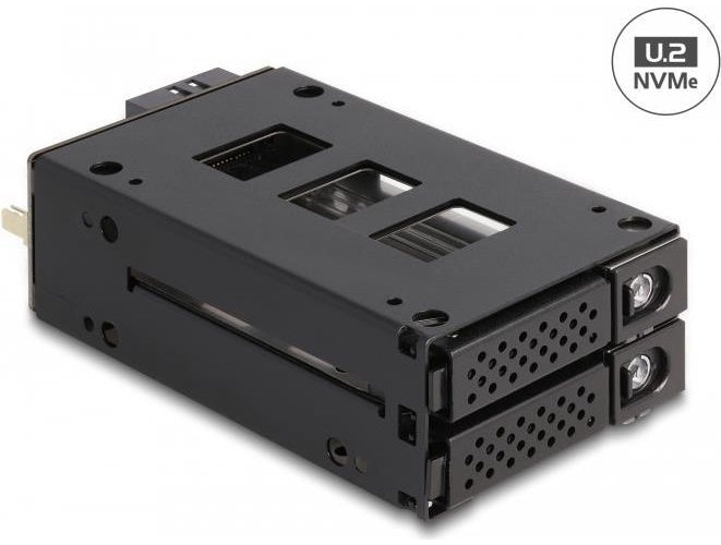 Delock - Mobiles Speicher-Rack - schmaler Schacht - 5,25" bis 2 x 2,5" (13,3 cm bis 2 x 6,4 cm) - Schwarz (47019) afbeelding 1