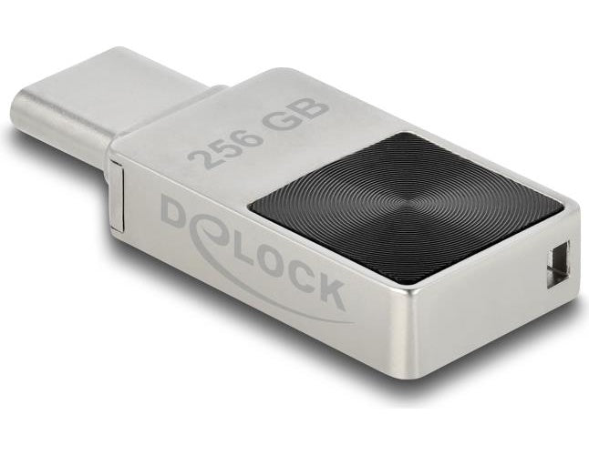 Delock - USB-Flash-Laufwerk - 256GB - USB-C (54009) afbeelding 1