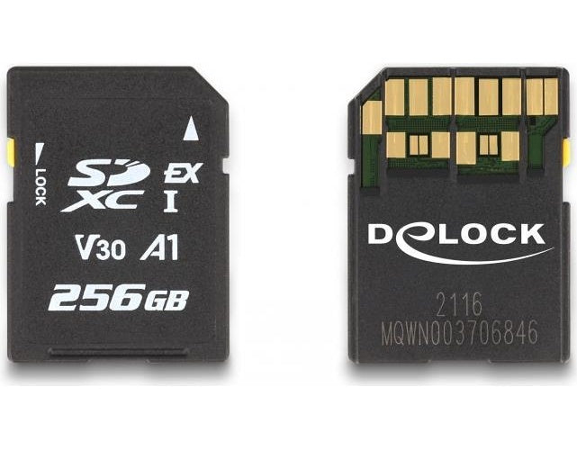 Delock - Flash-Speicherkarte - 256 GB - Video Class V30 / UHS-I U3 - SD afbeelding 1