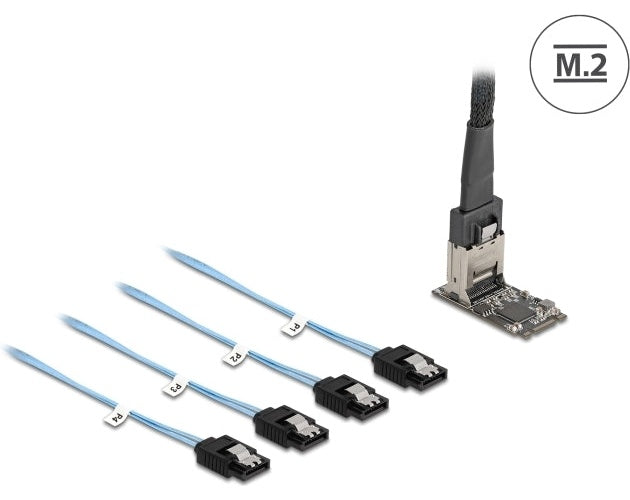 Delock M.2 2242 Key B+M Kontroller zu 4 x SATA mit 1m Kabel - Serial ATA (64260) afbeelding 1