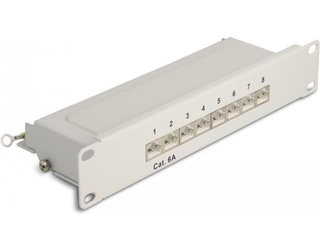 Delock - Patch Panel - CAT 6a - RJ-45 X 8 - Grau - 1U - 25.4 cm (10") afbeelding 1