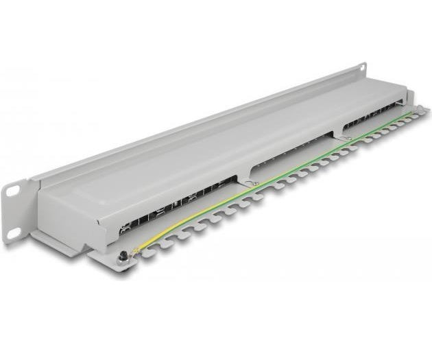 Delock - Patch Panel - CAT 6a - RJ-45 X 16 - Grau - 1U - 48.3 cm (19") afbeelding 1
