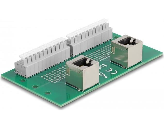 Delock RJ50 2 x Buchse zu 2 x Terminalblock mit Drucktaster für Hutschiene gewinkelt (67015) - 4043619670154 - image 1