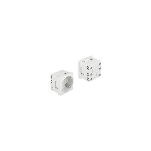 Delock - Easy 45 - Steckdose - 2P+E - Typ F - mit Verschluss - 1 Steckdose - 16 A - Wechselstrom 250 V - weiß, RAL 9003 (Packung mit 10) (81324) afbeelding 1