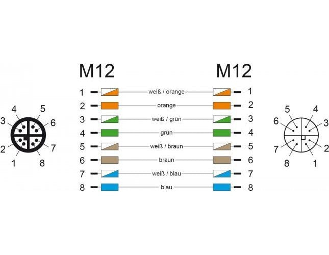 DeLOCK - Patch-Kabel - 8 pin M12-X (M) bis 8 pin M12-X (W) - 1,0m - SFTP - CAT 6a - halogenfrei - Wasserblau (85421) afbeelding 1