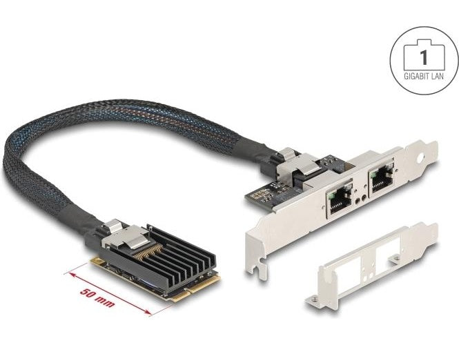 Delock Mini PCIe I/O full size 2 x RJ45 Gigabit LAN (95280) afbeelding 1