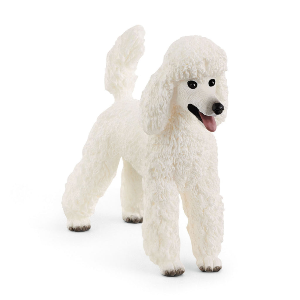 Schleich Poodle White
