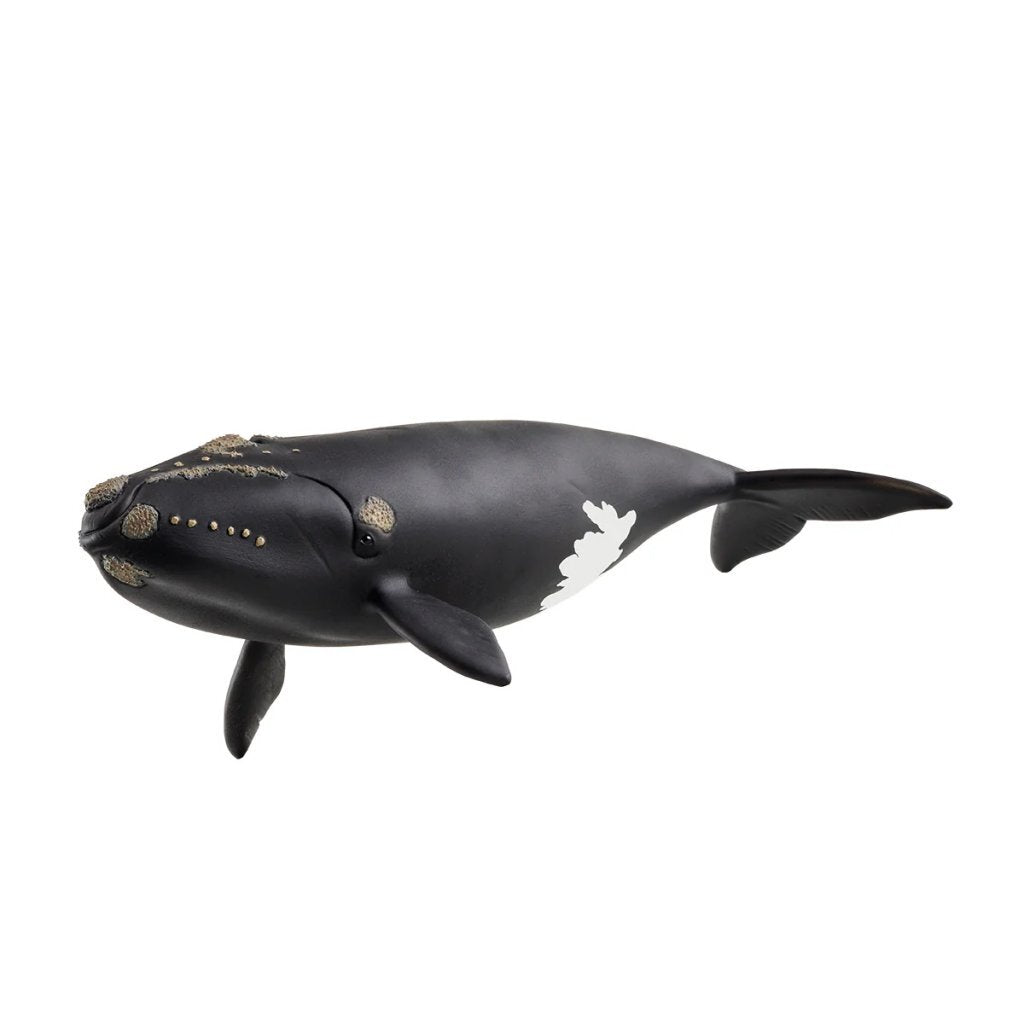 Schleich North Atlantic Right Whale - Sea Creature - Suitable for Ages 5+