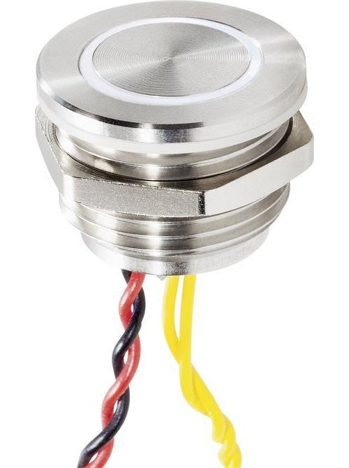 Renkforce RF-4707816 Klingeltaster beleuchtet, mit Piezo 1fach Edelstahl, Weiß 24 V/0,3 A (RF-4707816) - 4064161168043 - image 1