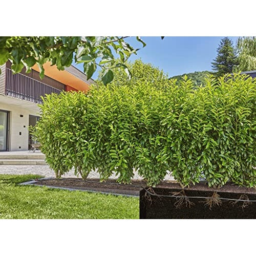 Gardena Micro-Drip-System - Tropfbewässerungsleitung - 50 m (13504-20) afbeelding 5