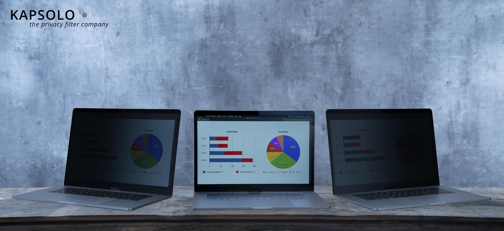 KAPSOLO 2-wege Blickschutzfolie abnehmbar für Lenovo ThinkPad X12 Detachable schützen sie ihre sensiblen und privaten Daten vor unerwünschten Blicken. (KAP12585)