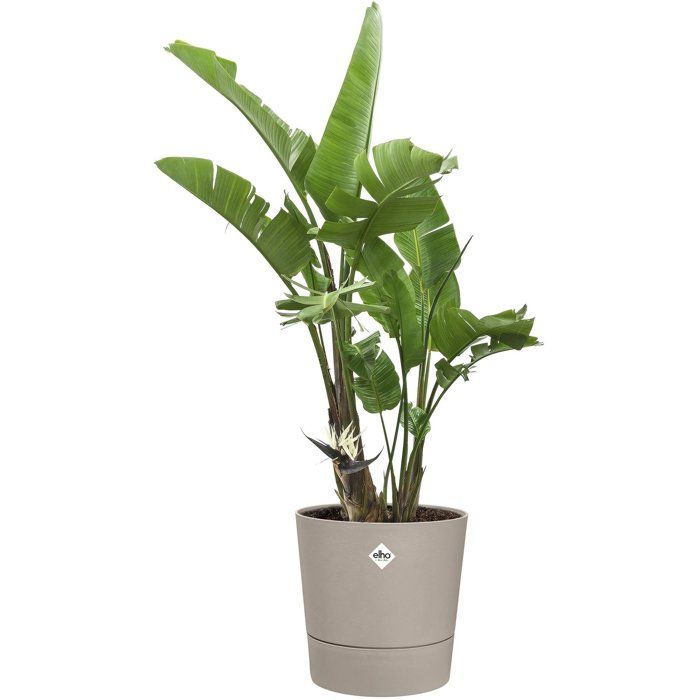 ELHO Round Flower Pot - Foss 35 - 21 L - L 35 x W 34.5 x H 34 cm - Beige - Outdoor
