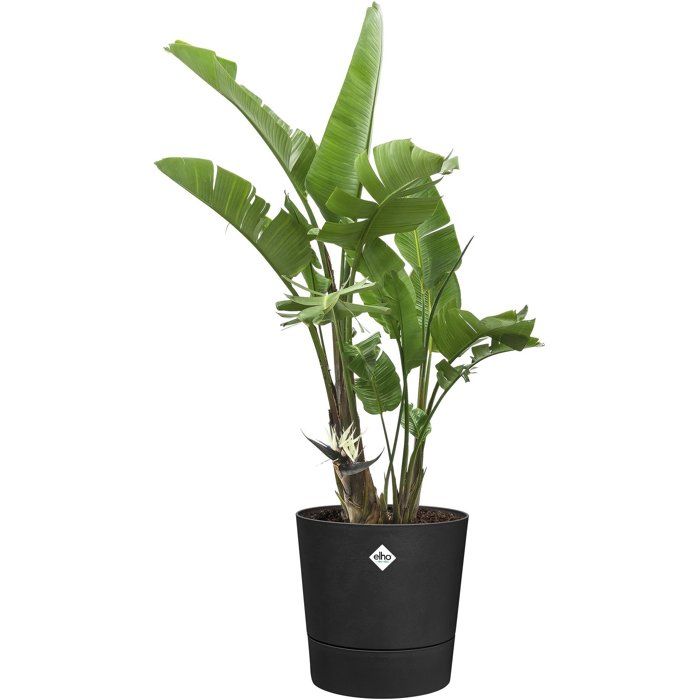ELHO Round Flower Pot - Foss 43 - 39 L - Ø 43 x H 43 cm - Black - Outdoor