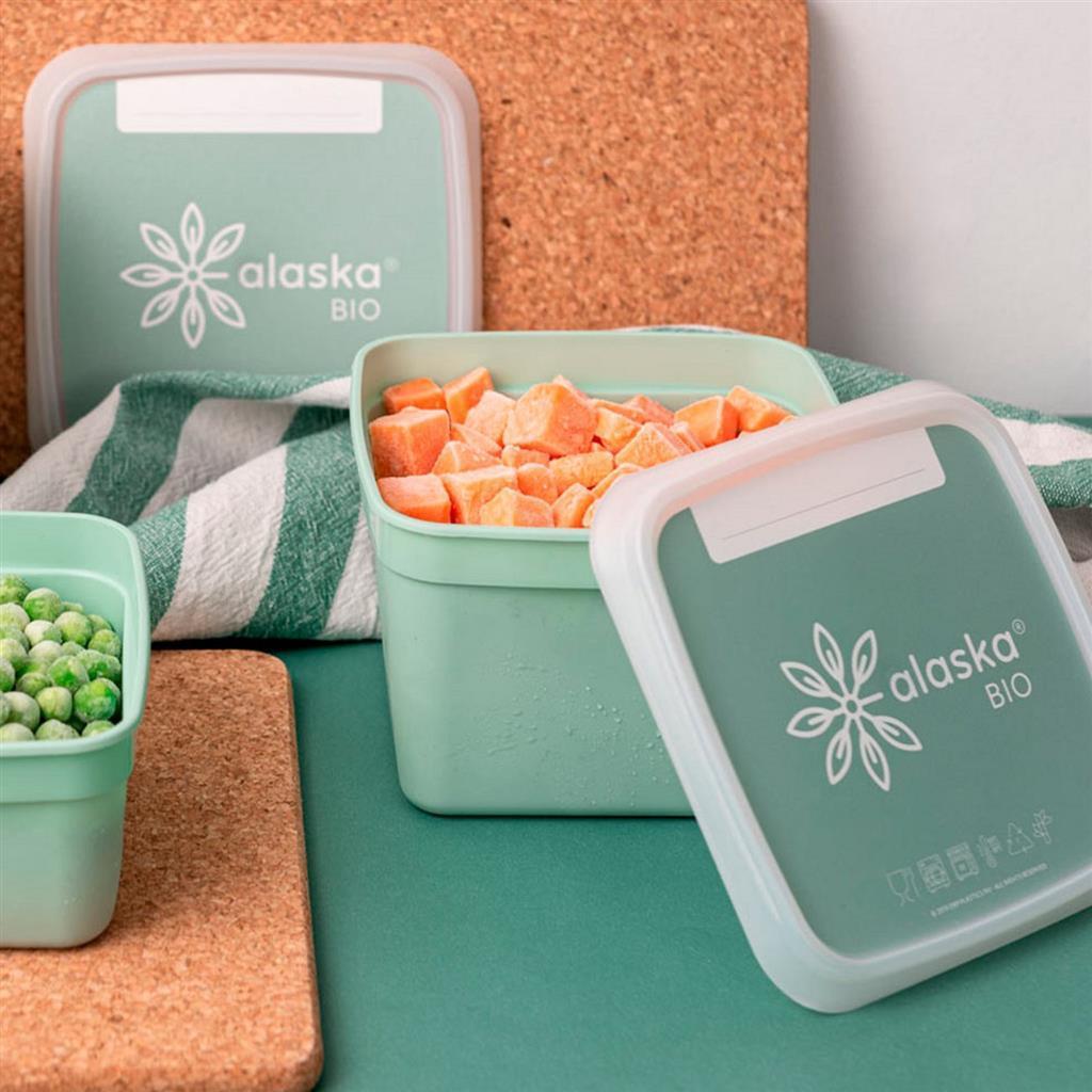 DBP Alaska Square Freezer Boxes 0.75 L 3 Pieces Mint Green