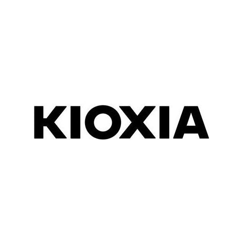 Dell KIOXIA BG4 Series KBG40ZNS256G - SSD - 256GB - intern - M.2 2230 - PCIe 3.0 x4 (NVMe) (FWJTG) afbeelding 1