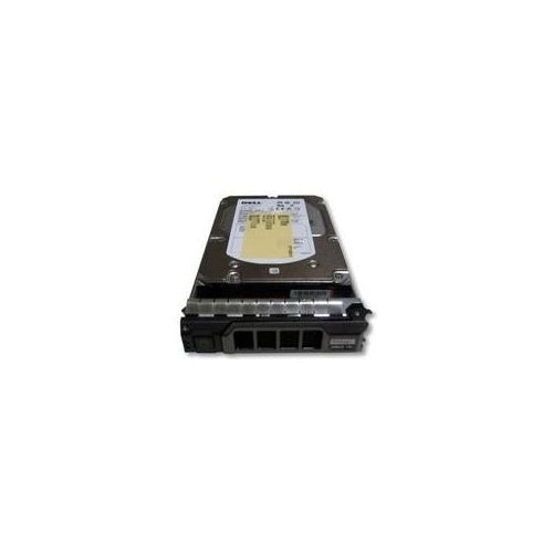 CoreParts - Festplatte - 600 GB - Hot-Swap - 3.5" (8.9 cm) - SAS - 15000 U/min - für Dell PowerEdge R410, R415, R510, R515, R610, R710, R715, R810, R815, T410, T610, T710 afbeelding 1